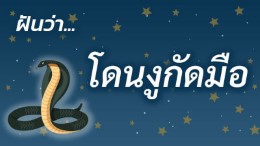 รูปหน้าปกข้อความ โดนงูกัดมือ