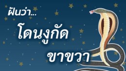 รูปข้อความ Title โดนงูกัดขาขวา